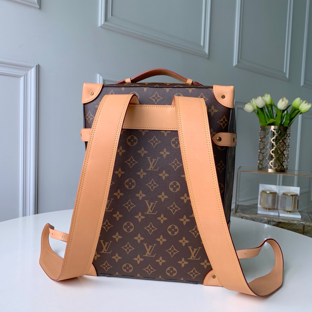 LV Backpacks